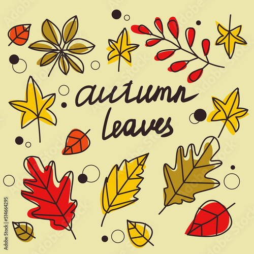 Autumn leaves  a set of autumn colorful icons for stickers  postcards  cards  wallpapers  prints  etc.