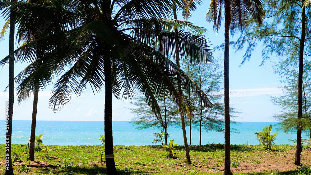 Obraz premium Tropical vacation concept. Palm trees and turquoise sea on background on empty beach at sunny summer day. Blue ocean nature palms on island. Holidays in Asia, Thailand