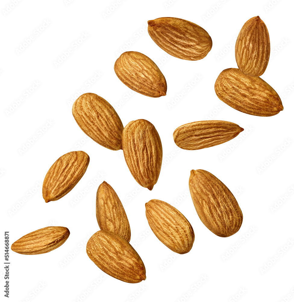 almond nut food healthy organic natural ingredient snack isolated seed brown fruit closeup nutrition group almond nut food healthy organic natural ingredient snack isolated seed brown fruit closeup nutrition group