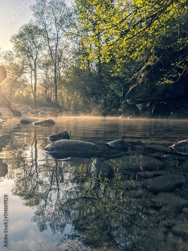 Foggy river in a cold morning