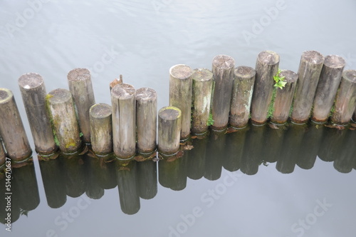 wooden posts reflecting in a lake