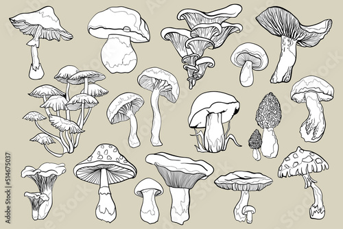 Contour black line mushroom