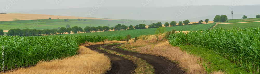 Beautiful nature sunset landscape. Dirt road between the fields on a country. valley countryside, Typical Moldovan landscape of a green agrarian country Republic of Moldova, wheat, corn field