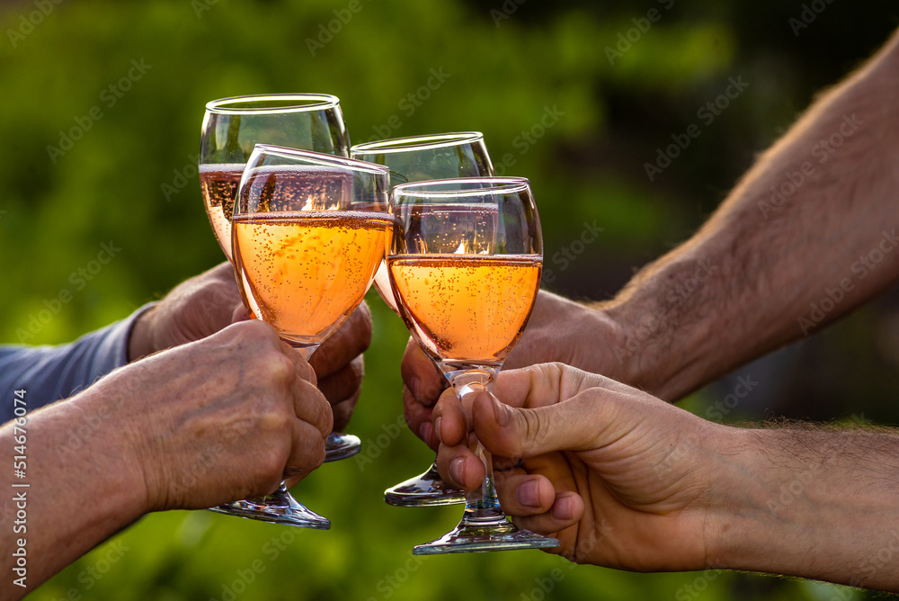 Toasting with two glasses of Champagne in the vineyard, Toasting with ...
