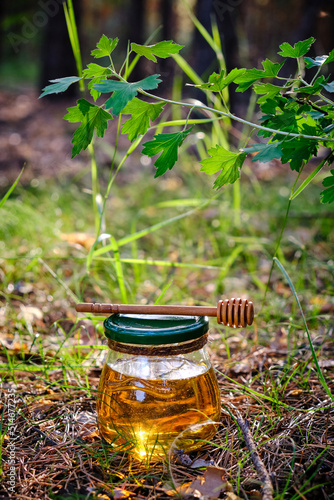 Jar of fresh honey and spoon for honey in forest.