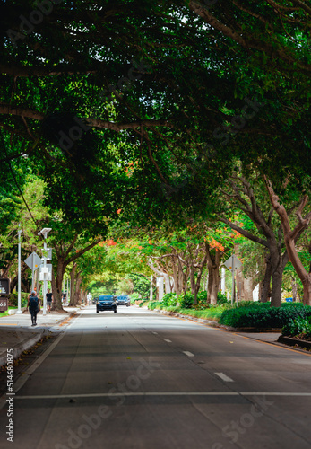 street in the city coconut grove miami 