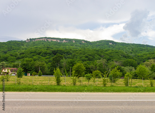 the road is located between a forest and a field on a sunny summer day. photo