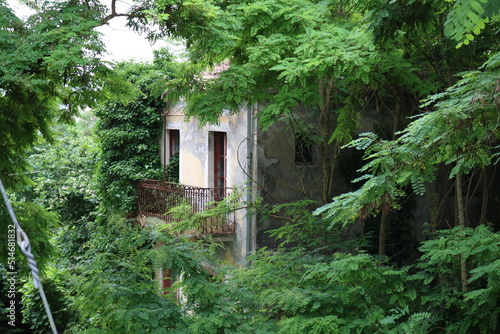 Fototapeta Naklejka Na Ścianę i Meble -  Abandoned house between trees in Conza della Campania, Province of Avellino, Campania Region, Italy. 