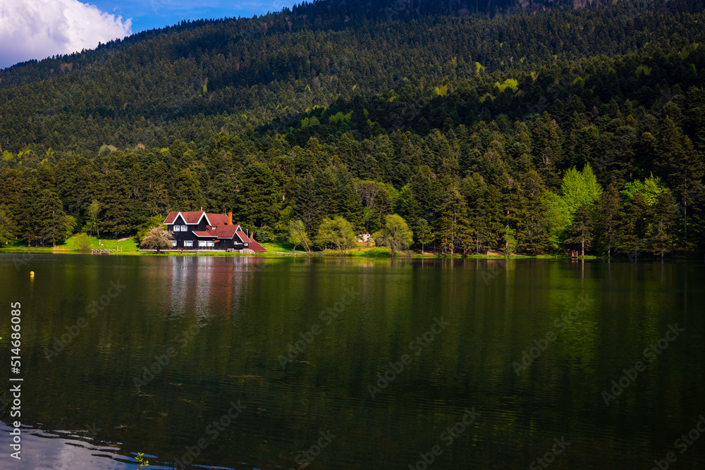 Golcuk lake in Bolu Golcuk Nature Park. Forest and lake view.