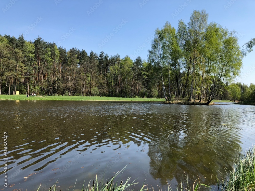 Widok