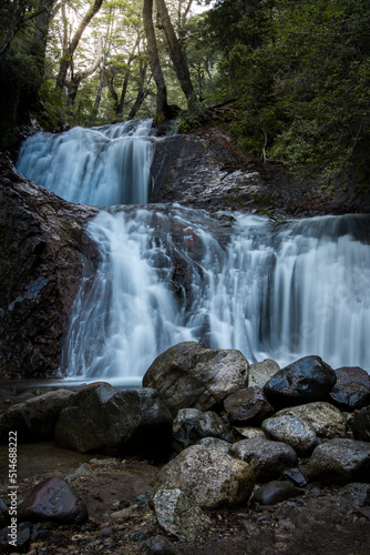 waterfall in the forest