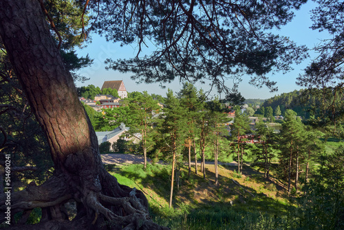Panorama of old Finnish city of Porvoo: summer, sunny day, river, bridge, old wooden houses, medieval church, Edelfelt pine tree. photo