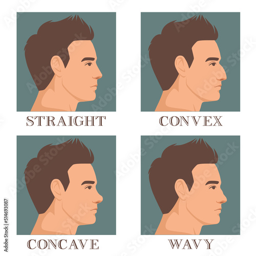 male face in profile with different types of nose convex, straight, concave and wavy. Vector illustration