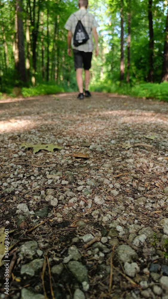 Tourist walking or hiking in a forest with a small backpack Tourist walking or hiking in a forest with a small backpack