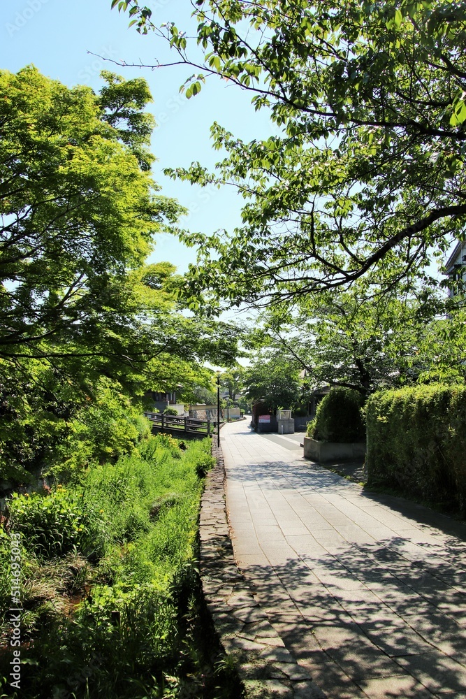 下関市長府の壇具川沿い風景