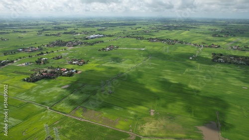 The Paddy Rice Fields of Kedah and Perlis, Malaysia