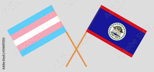 Crossed flags of Transgender Pride and Belize. Official colors. Correct proportion