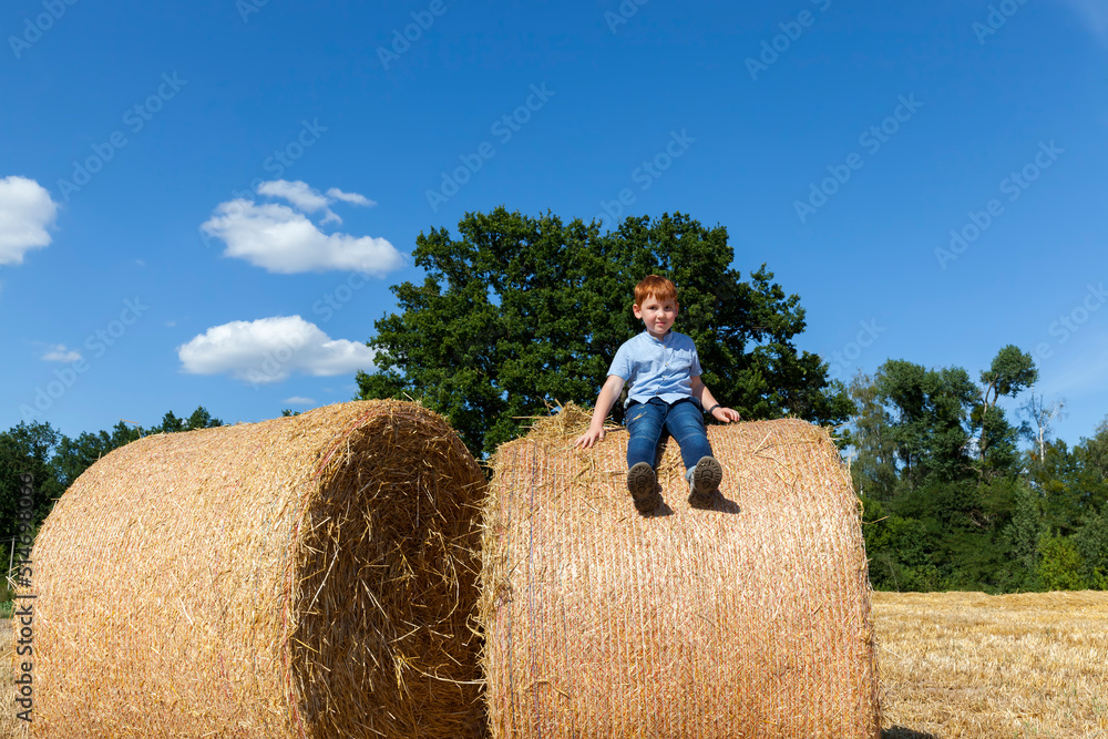 boy sits on top of a golden straw stack boy sits on top of a golden straw stack