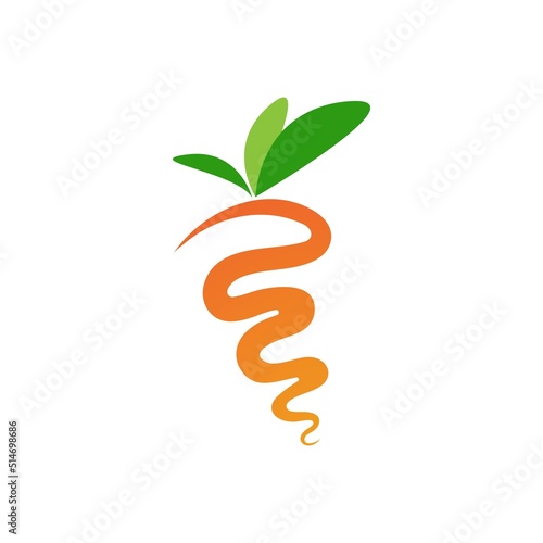 Carrot logo vector