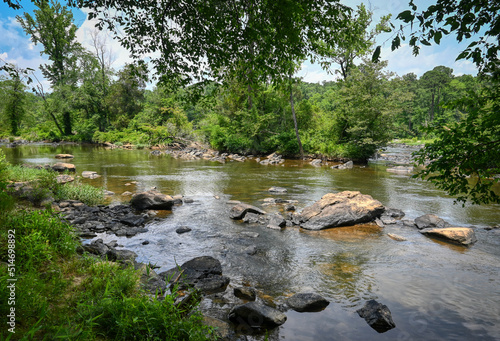 A river landscape of the Haw River in North Carolina in the deep forest with a diminishing perspective.