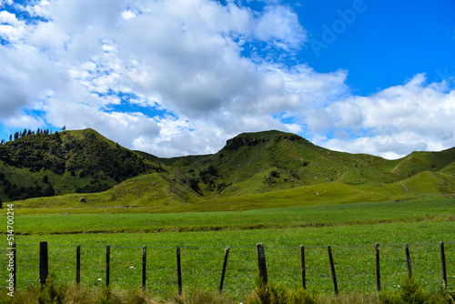 The Countryside of New Zeland s South Island