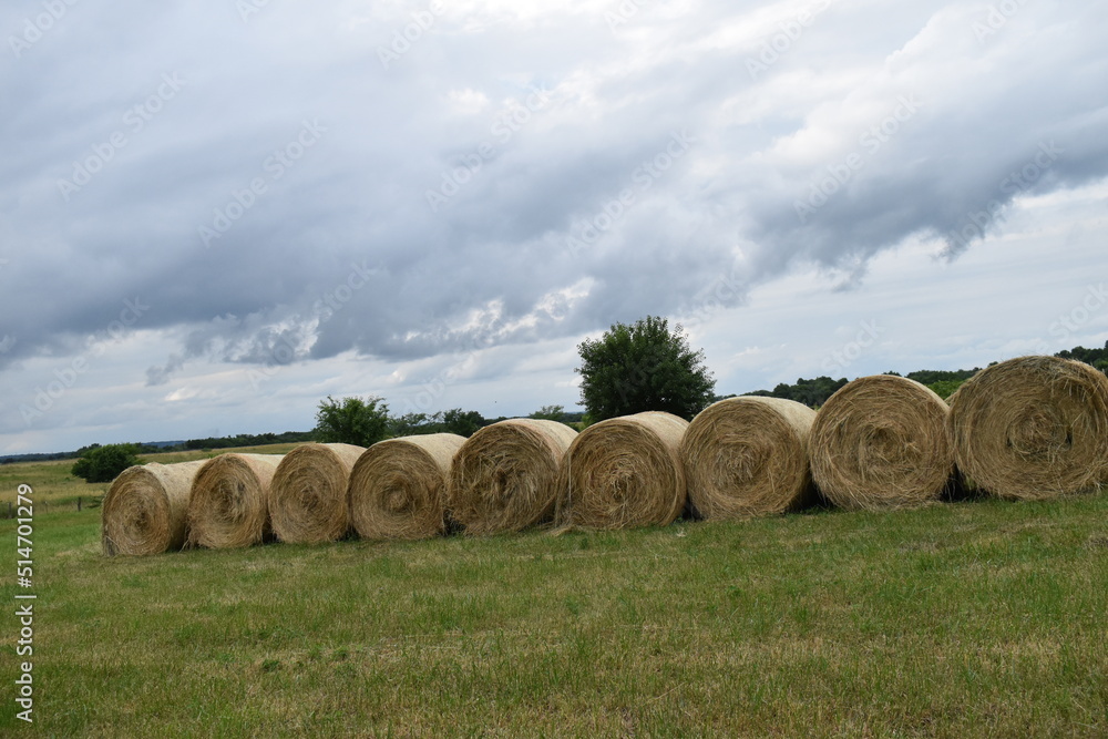 Hay Bales in a Farm Field