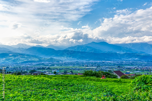 (山梨県-都市風景)勝沼のぶどう園風景３