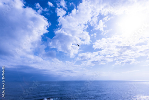 空、海、鳶