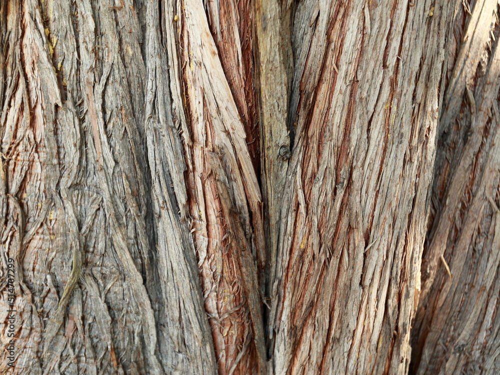 old wood texture old wood texture