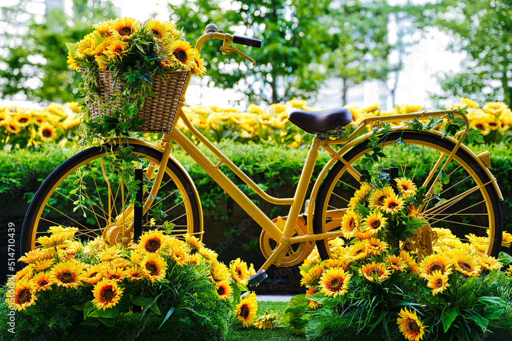向日葵と自転車