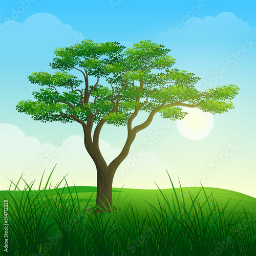 Lonely tree in sunrise with green grass cartoon illustration