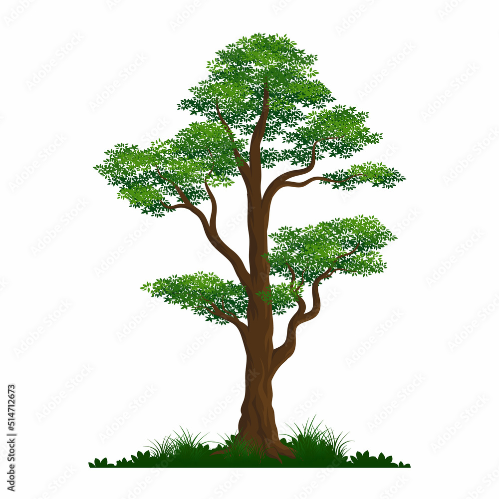 Cartoon Tree with grass individual flat element design Cartoon Tree with grass individual flat element design