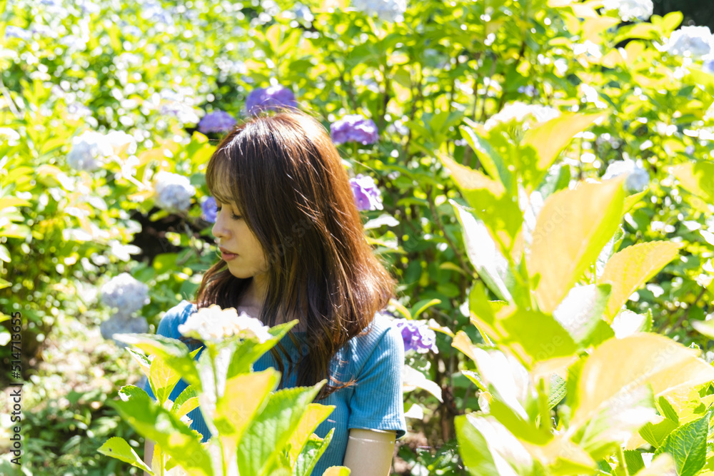 紫陽花と女性 紫陽花と女性
