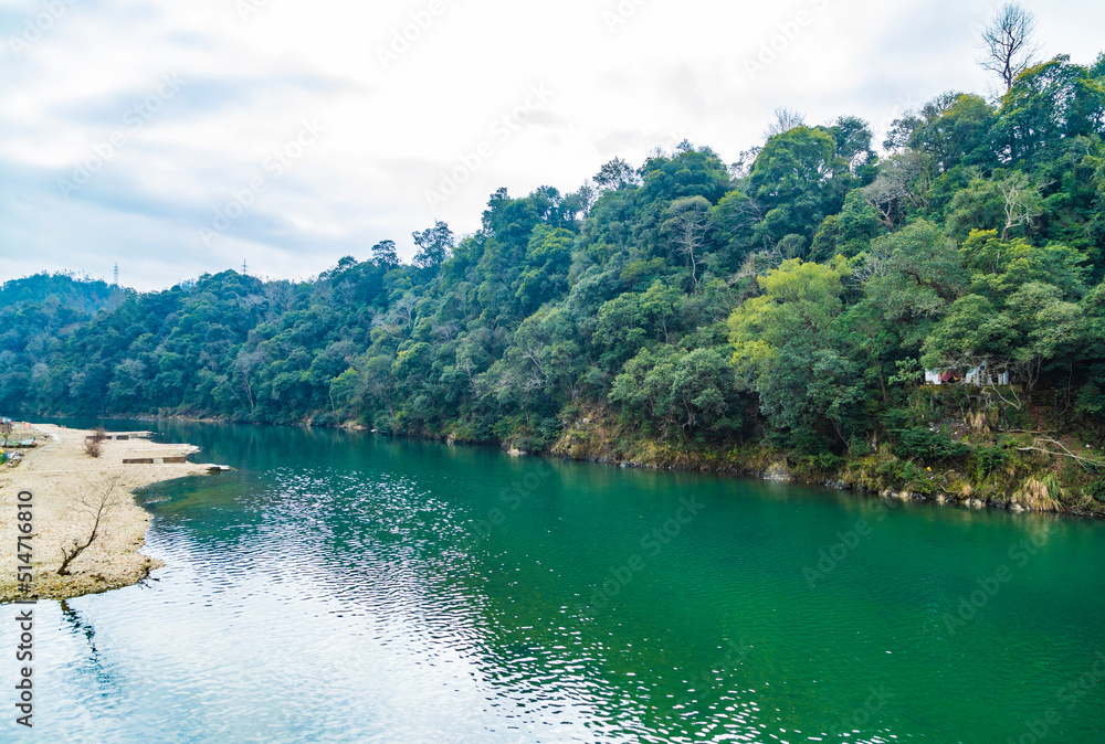 Fototapeta premium lake in the summer
