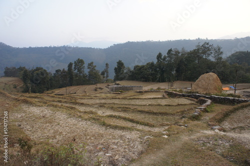 ネパール ダンプス
Nepal Dhampus