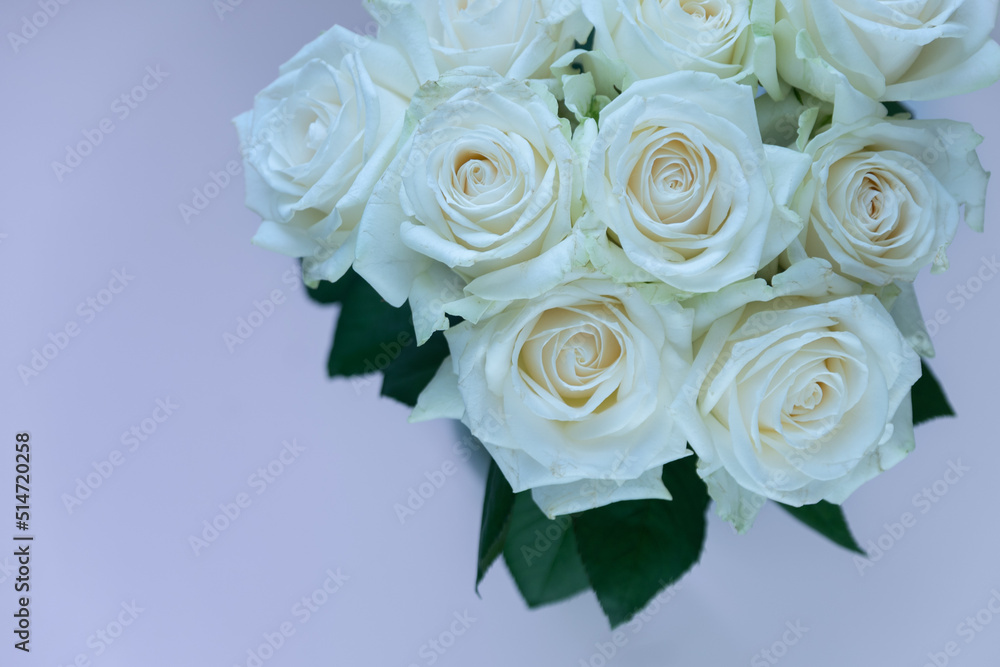 Fototapeta premium bouquet of white roses