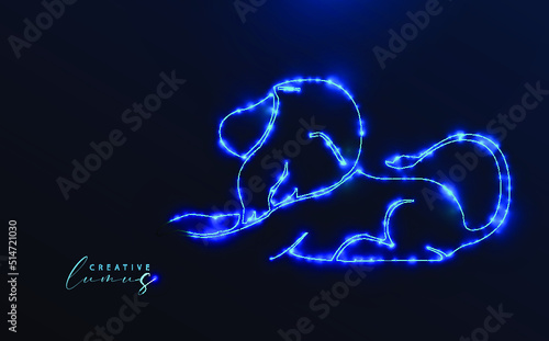 Lion icon illuminated with stars and lines. Zodiac symbol template, neon effect, starry in the universe. Model: futuristic glowing, big data, ai, technology, astrology