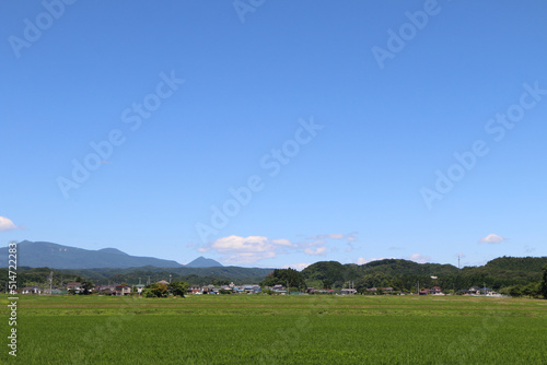 大きな青い空の下の農村風景