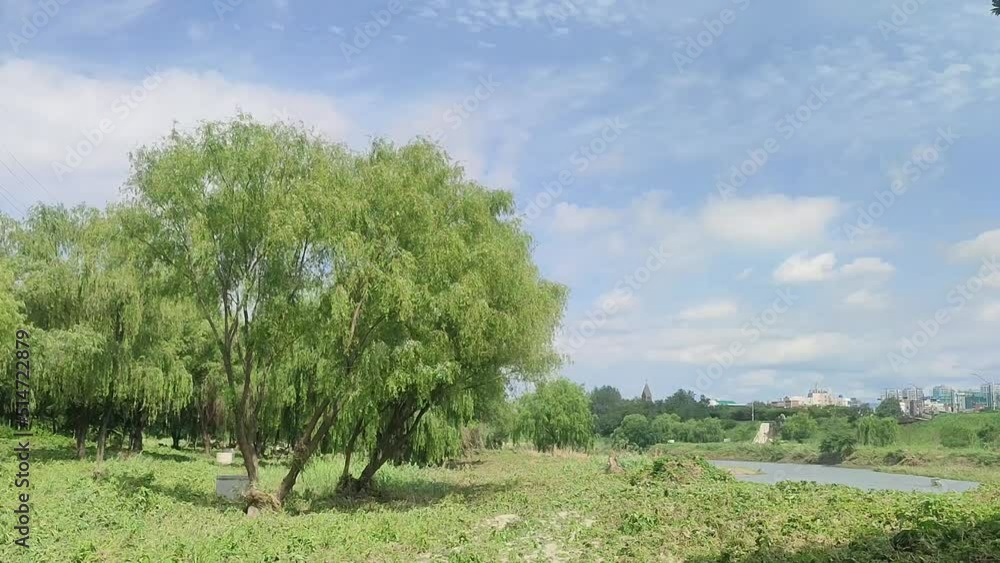 한국,서울,공원,나무,하늘,구름 한국,서울,공원,나무,하늘,구름