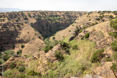 Hillsides overgrown with forests and grass in the Black Gorge on the banks of the Zavitan stream in the Golan Heights, near to Qatsrin, northern Israel