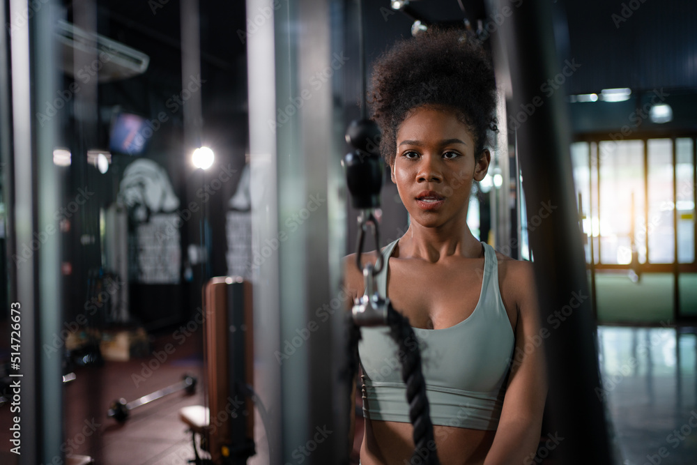 Fit girl gym discount equipment