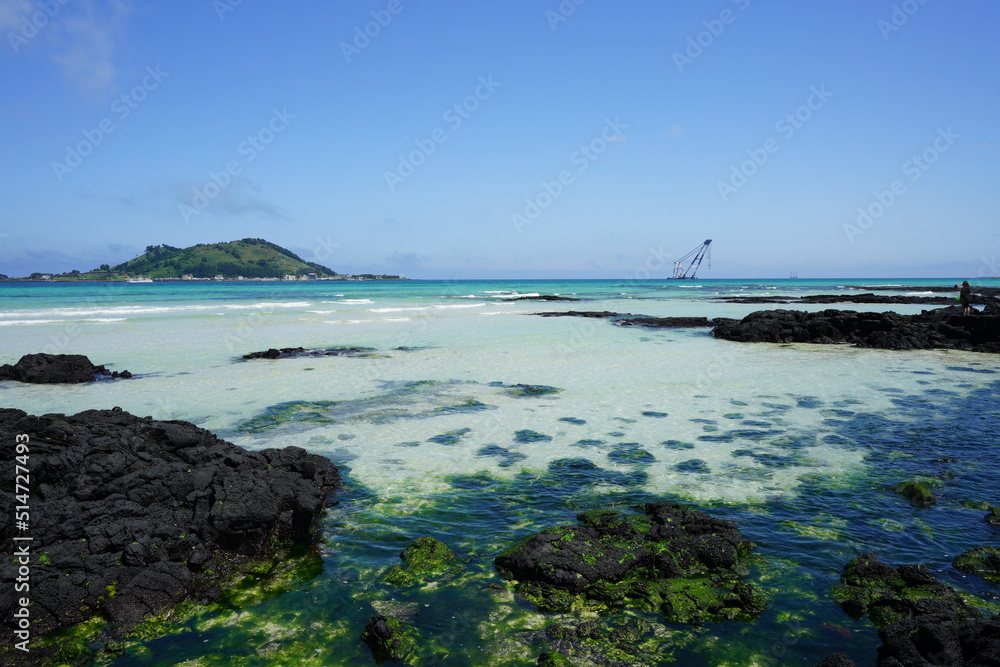 Fototapeta premium mossy rocks in shoaling beach