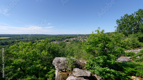 Forest of the Chamarande belvedere in the French Gatinais Regional Nature Park 