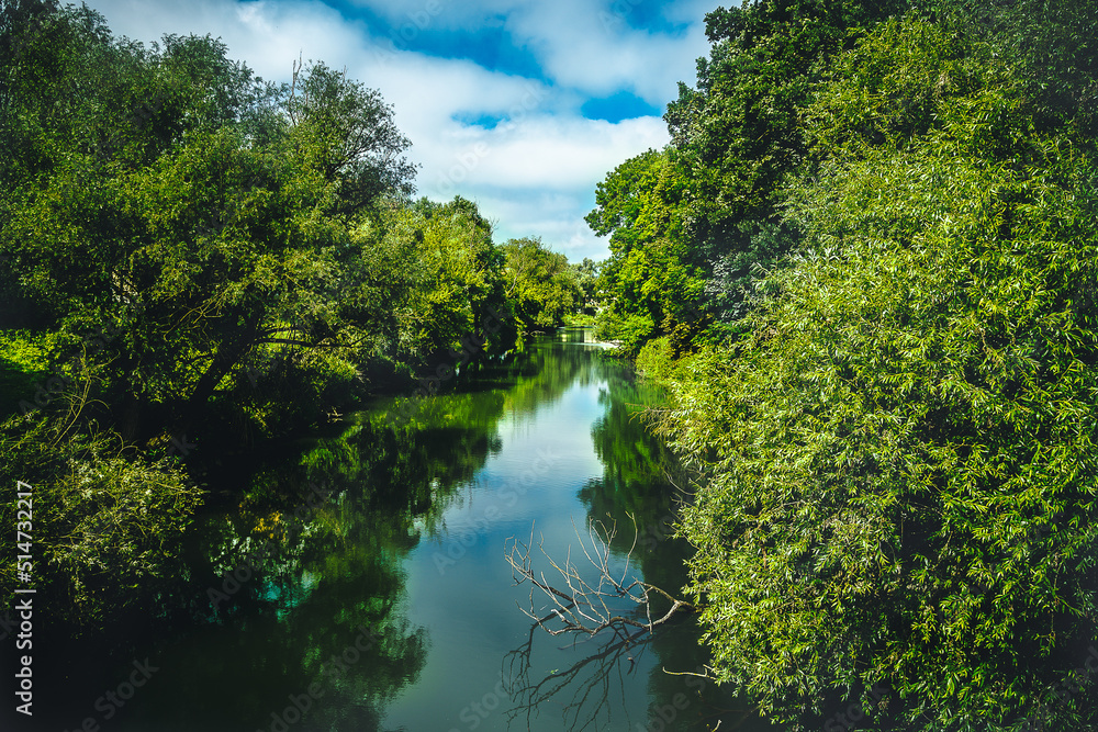the danube flows through an urban forest with reflections on the water the danube flows through an urban forest with reflections on the water