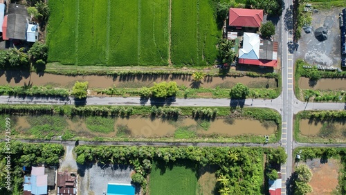 defaultThe Paddy Rice Fields of Kedah and Perlis, Malaysia photo