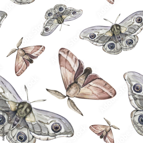 Watercolor Seamless Pattern Background with Moths on White Background.
