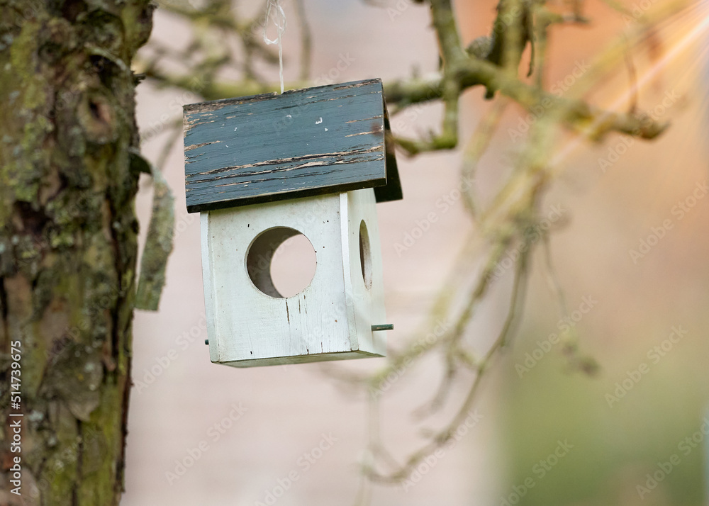 Wooden bird feeder house in tree