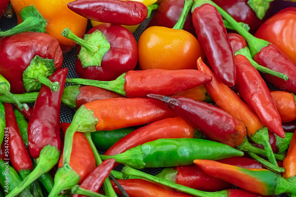 peppers juicy red hot chili closeup background vegetable bright