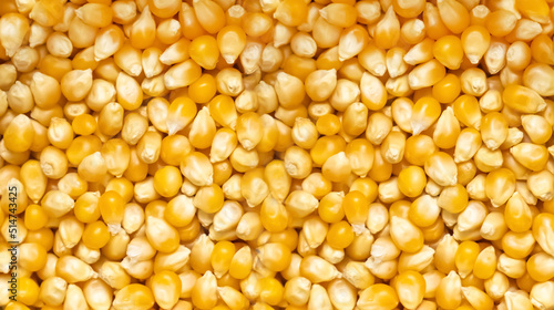 background texture corn grain fresh popcorn base closeup