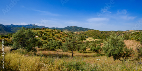 Andaluzyjskie wzgórza w okolicach Kordoby